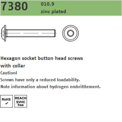 Laagbolkopbout BZK Iso 7380 met flens 10.9 Electrolitisch Verzinkt